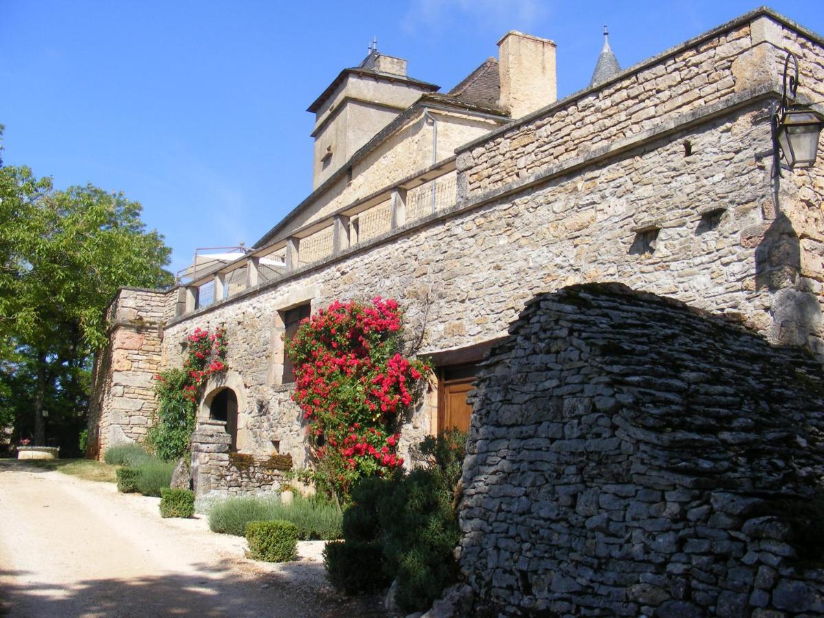 Chateau De Laumiere Promilhanes Zewnętrze zdjęcie